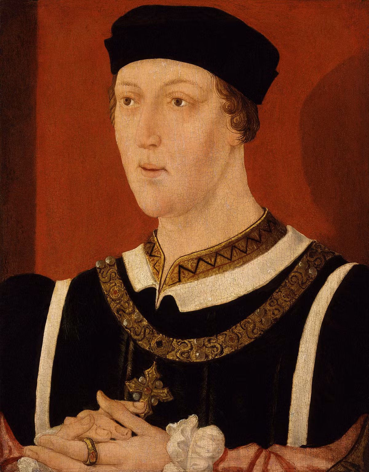Henry VI là con trai nối dõi của vua Henry V. Sau cái chết bất ngờ của vua cha, Henry VI kế vị ngai vàng khi mới 9 tháng tuổi. Ông cai trị nước Anh trong gần 40 năm.