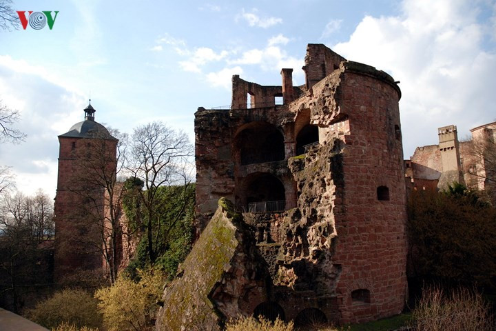 Từ thời vua Elector Ludwig V (1508-1544), tòa lâu đài đã mang dáng dấp như những phần còn tồn tại cho tới ngày nay. Đó là những ngôi tháp tròn kiên cố xây dựng liền với tường lâu đài, khu thư viện…