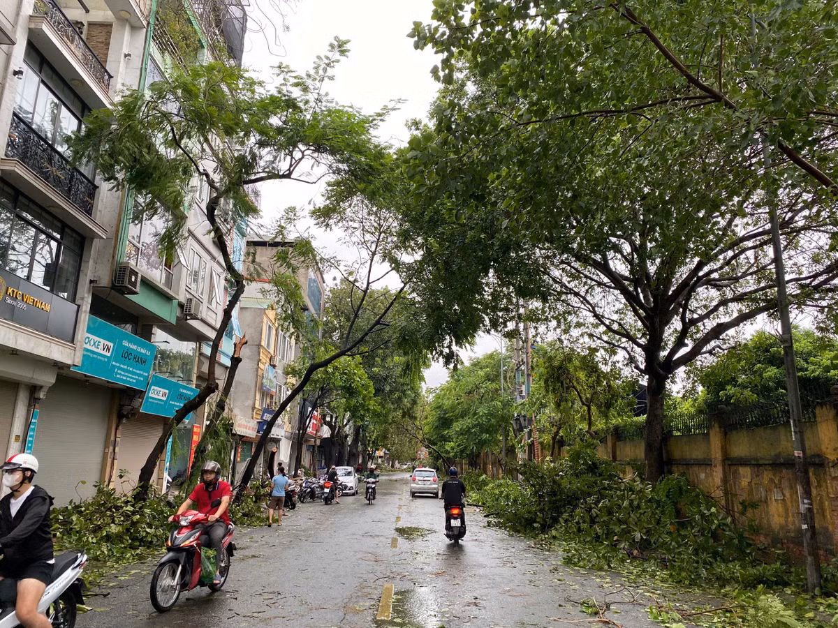 Nhiều tuyến đường di chuyển khó khăn do cây đổ nhiều.