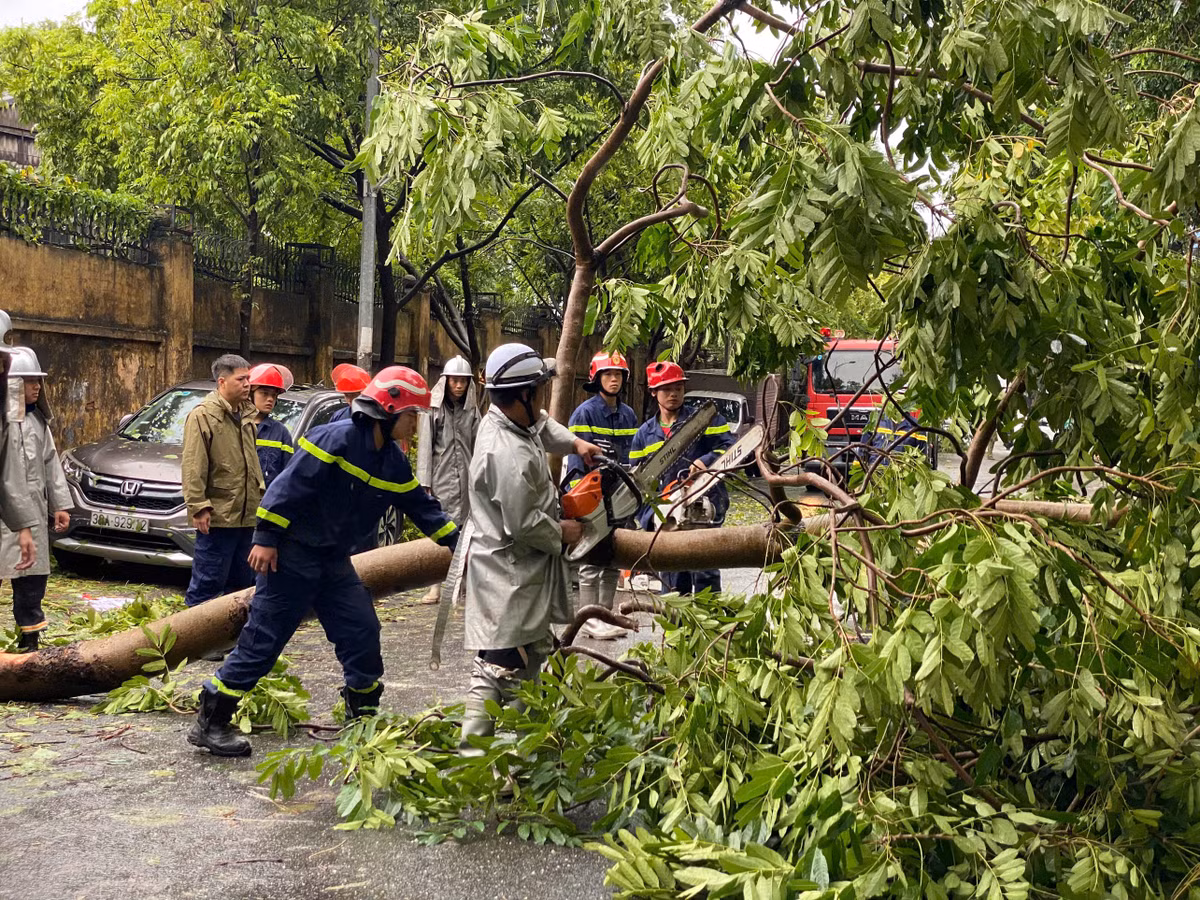 Cây đổ đã làm một số người chết và bị thương. Do ảnh hưởng của mưa bão, hầu hết các địa phương đều có các ảnh hưởng, thiệt hại khác xảy ra liên quan đến mất điện, sạt lở, sập đổ, tốc mái công trình, xe cộ hư hỏng…