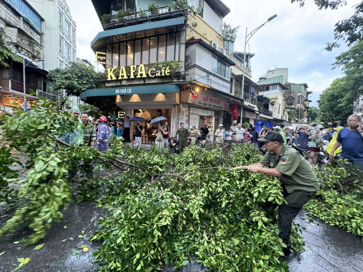 Nhiều nút giao thông bị chặn đứng vì cây đổ.