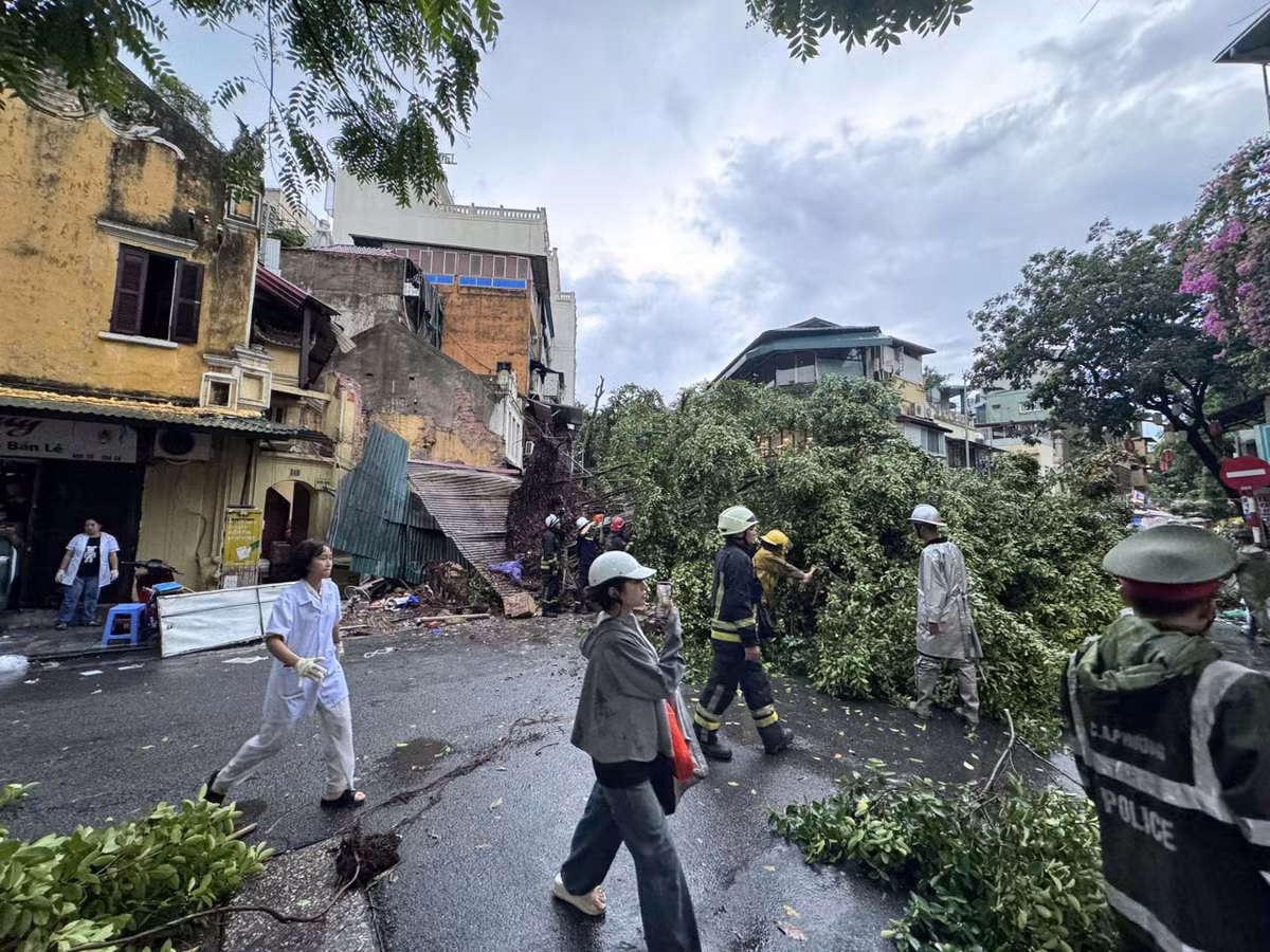 Một số công trình nhà ở cũ kỹ cũng bị đổ sập cùng cây cối.
