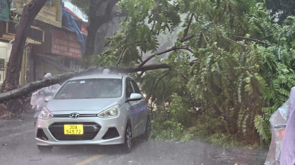 Gió mưa gió bất ngờ khiến nhiều tài xế không kịp xử lý và gặp rủi ro.