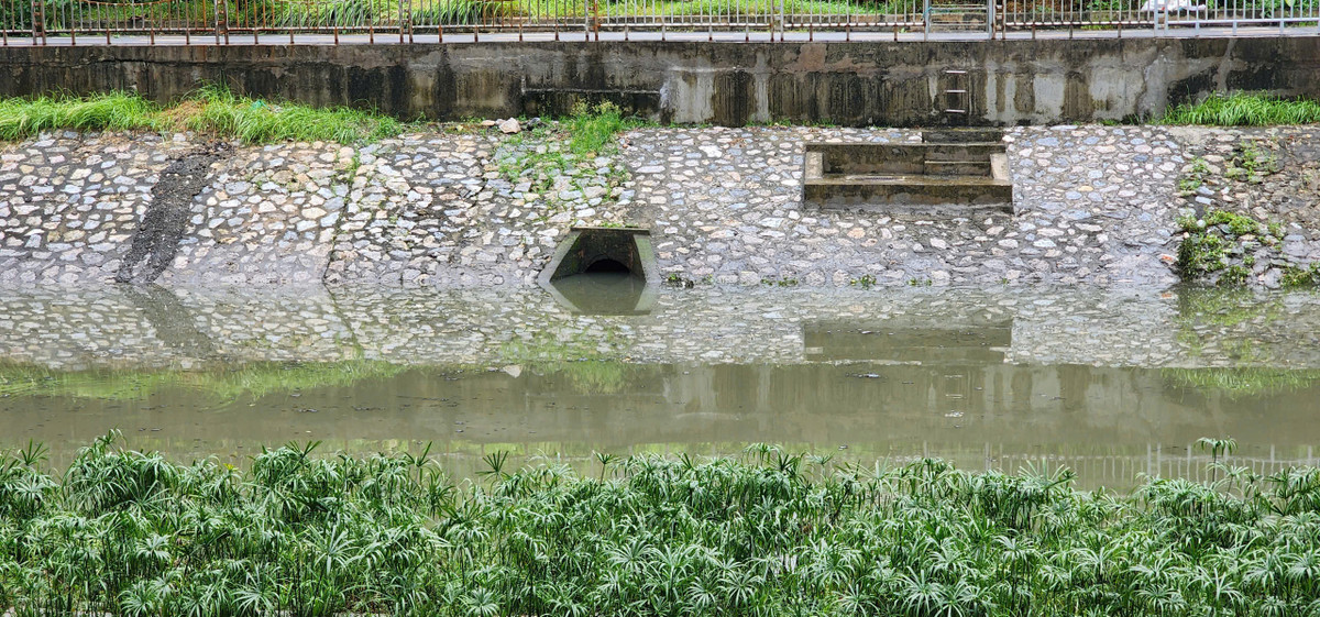 Một số đoạn sông Tô Lịch, nước đã dâng cao, gần che lấp ống cống.