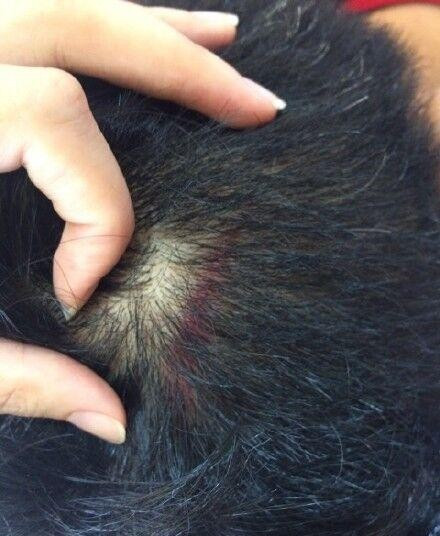 May bay Trung Quoc roi tu do, 30 nguoi bi thuong-Hinh-2