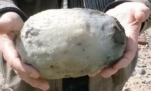 Cặp đôi người Anh vô tình nhặt được kho báu khi đang dạo bờ biển. Ảnh: Mirror.