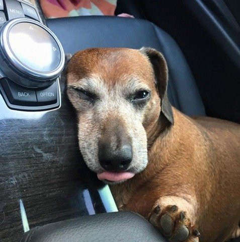 Vincent Béo nổi tiếng trên mạng Facebook và từng xuất hiện trên tạp chí People.