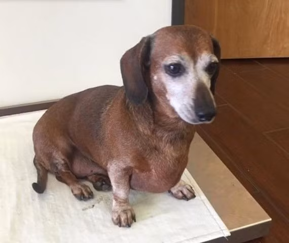 Hình ảnh hiện tại của Vincent Béo sau khi giảm được 8kg.