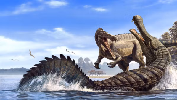 Loài cá sấu này sinh sống ở lưu vực Turkana ở Kenya, là loài cá sấu lớn nhất đến giờ được biết đến.