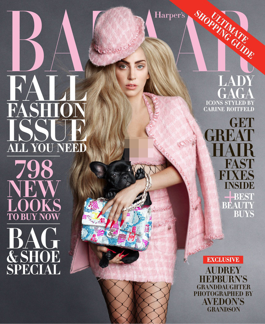 Tháng 9/2014, Lady Gaga từng mang thú cưng với tên gọi Miss Asia xuất hiện trên trang bìa Harper's Bazaar. Chia sẻ với tạp chí, giọng ca Telephone cho rằng thú cưng giúp cô tận hưởng từng khoảnh khắc trong cuộc sống. Nữ ca sĩ cũng khẳng định thú cưng rất gần gũi và thường xuyên ngồi cạnh mỗi khi cô buồn chán hay làm việc.
