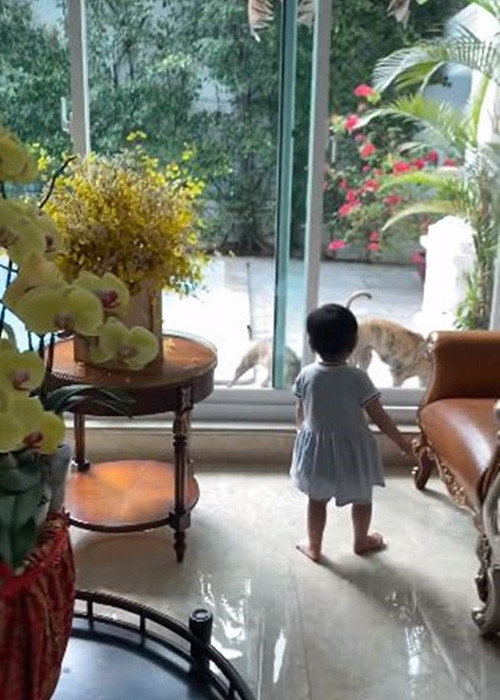 Nam diễn viên tiết lộ bé Thanh Nhã giống anh, gương mặt rất điện ảnh. Dịp Tết, Quách Ngọc Ngoan vừa trông con vừa nấu ăn.