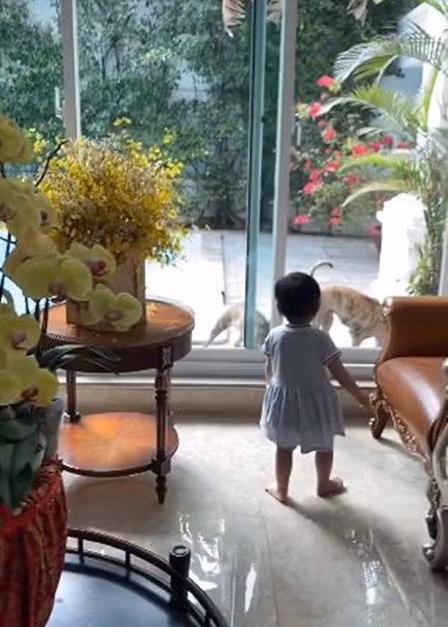 Nam diễn viên tiết lộ bé Thanh Nhã giống anh, gương mặt rất điện ảnh. Dịp Tết, Quách Ngọc Ngoan vừa trông con vừa nấu ăn.