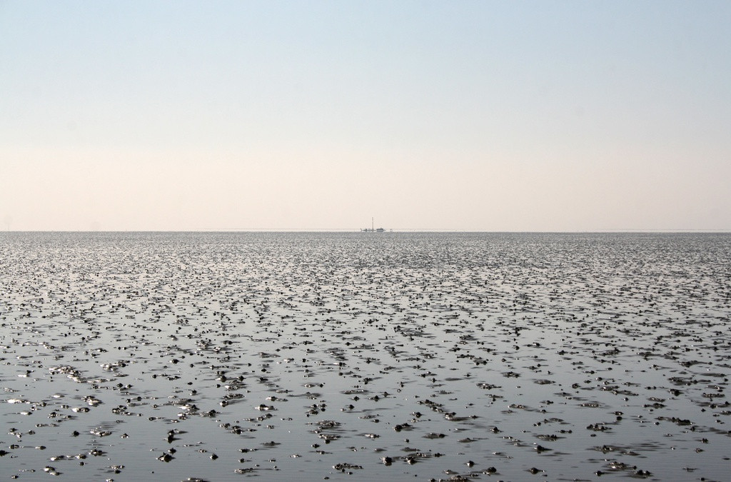 Đầu những năm 1900, tác giả Herbert W. Tompkins đã mô tả khi thủy triều rút xuống, nhiều cây chổi sẽ "ngẩng đầu lên và xuất hiện như một đường chấm đen", dấu hiệu này cho du khách biết thời điểm họ có thể bắt đầu hành trình xuyên biển. Vào thời điểm đó, Broomway trở thành tuyến đường chính để nông dân đưa sản phẩm từ hòn đảo đến chợ. Ảnh: Jon Combe.