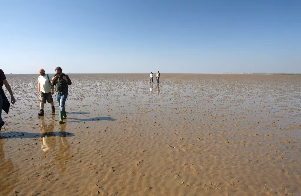 Thủy triều không phải mối nguy hiểm duy nhất đối với người đi trên Broomway. Vào ngày nhiều sương mù hoặc trời mưa, người ta có thể dễ bị mất phương hướng, đi lang thang khỏi con đường và rơi vào nơi có bùn mềm hoặc cát lún. Nếu không thể vào đất liền trước khi thủy triều lên, điều này có thể dẫn đến cái chết. Bên cạnh đó là mối nguy hiểm khác đến từ trường bắn trên đảo Foulness với rủi ro từ những quả đạn, pháo chưa nổ. Ảnh: Jon Combe.