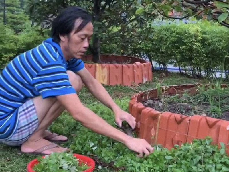 Sau những buổi đi diễn tỉnh, “ông vua phòng vé” một thời dành toàn bộ thời gian chăm chút cho nhà thờ Tổ. Hoài Linh trồng cây, thu hoạch rau củ.