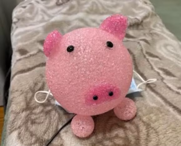 Dieu xuc dong khi mo vali cua Van Quang Long sau 49 ngay mat-Hinh-3