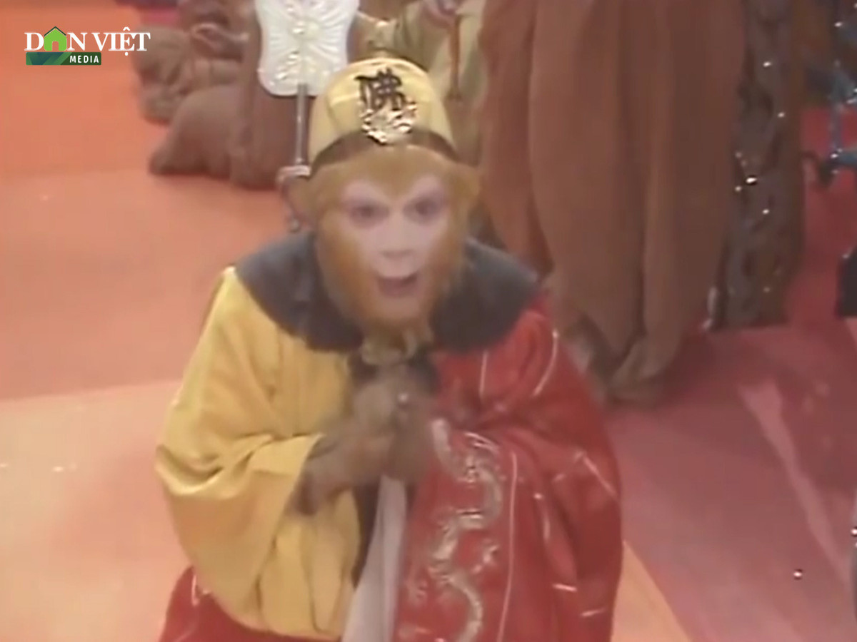 Trong 3 do de, tai sao Phat To phong Ton Ngo Khong thanh Phat?-Hinh-2