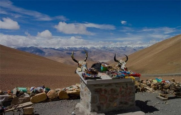 Bo trong rung... Day la cach mai tang nguoi chet khong o dau co!-Hinh-3