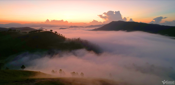 Diem cam trai san may 'sieu dinh' o Quang Ninh-Hinh-2