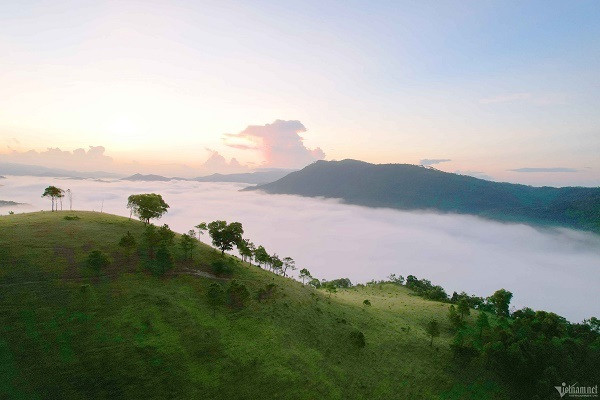 Diem cam trai san may 'sieu dinh' o Quang Ninh-Hinh-8