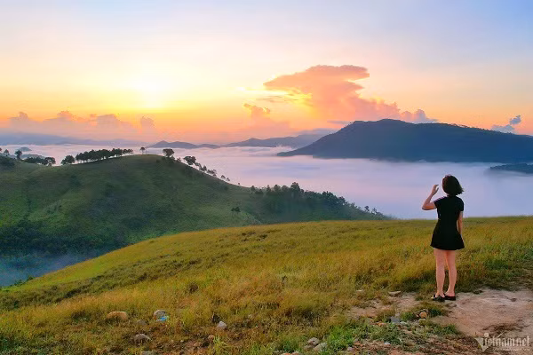 Diem cam trai san may 'sieu dinh' o Quang Ninh-Hinh-9