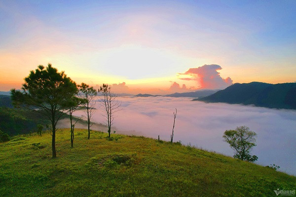 Diem cam trai san may 'sieu dinh' o Quang Ninh-Hinh-6