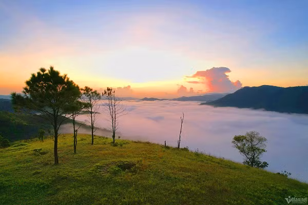 Diem cam trai san may 'sieu dinh' o Quang Ninh-Hinh-6