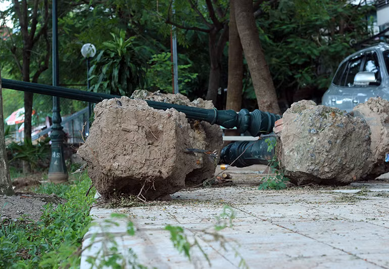 Các cột đèn điện được thay mới.