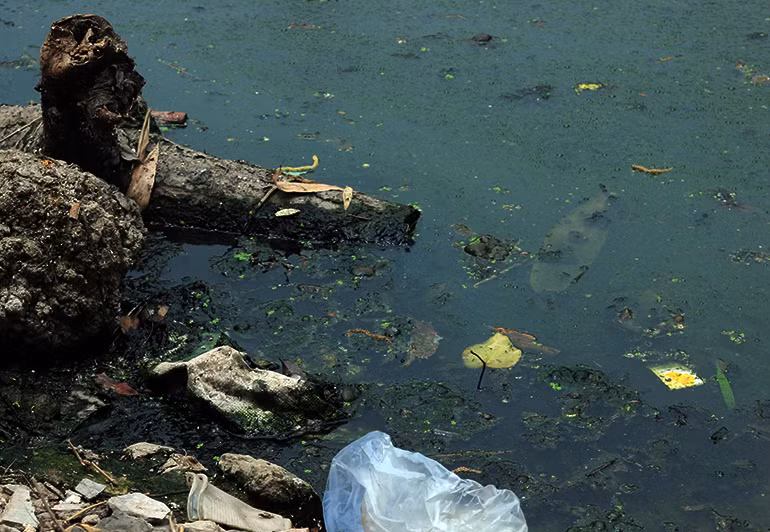 Nhiều người dân còn cho hay, thời gian này, chính quyền địa phương và các công nhân Công ty TNHH MTV thoát nước Hà Nội thường xuyên xuống khai thông dòng chảy, dọn dẹp vớt rác thải. Tuy nhiên, người dân vẫn lo ngại.