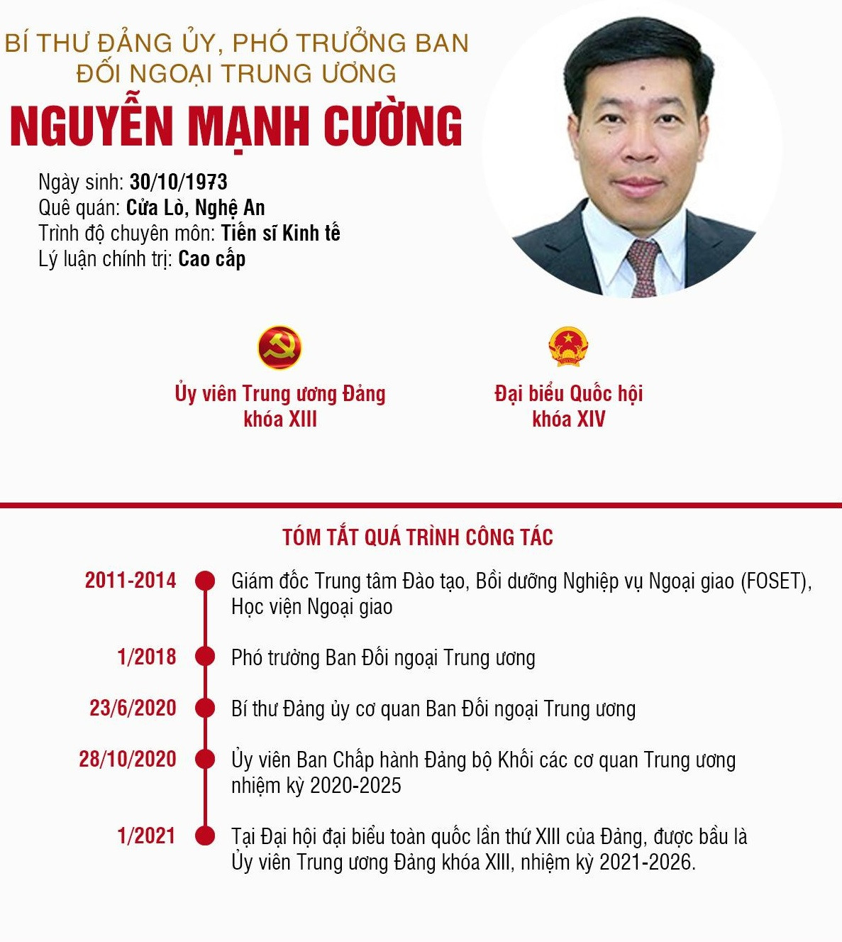 Tóm tắt quá trình công tác của ông Nguyễn Mạnh Cường.