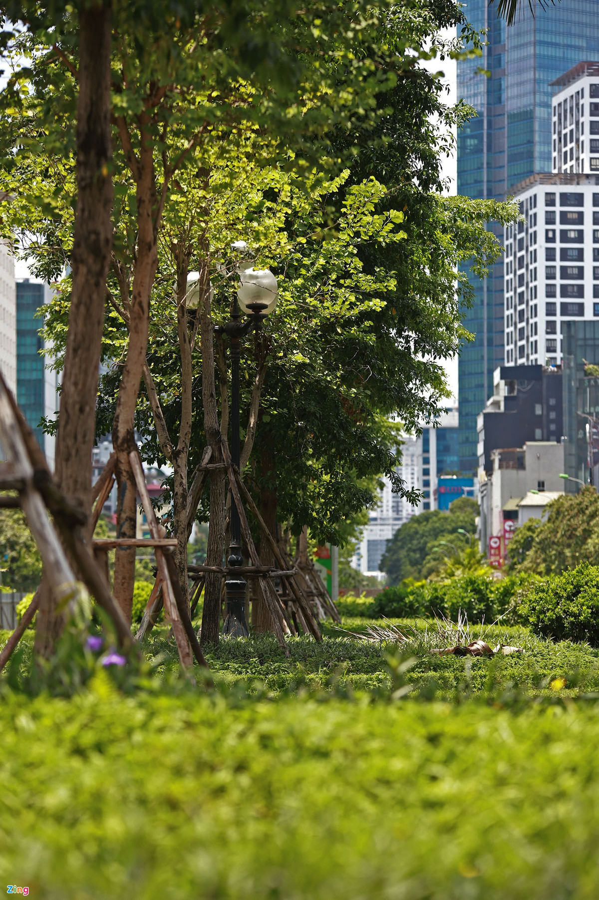 Trong khi đó, hàng cây hoa ban vẫn sẽ được giữ lại tại dải phân cách sau khi thu hẹp.