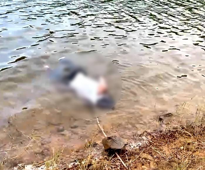 Quang Ninh: Phat hien thi the mot dan ong troi noi tren ho Yen Trung