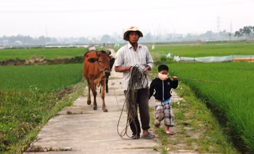 Khong khi buon o que ngheo ong Nguyen Ba Thanh