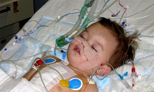 Cậu bé Sammy Hori, 7 tuổi, sống tại Cambridge, nước Anh, sinh ra với nửa trái tim chỉ có một tâm thất, thay vì hai tâm thất như các em bé bình thường khác. Ngay từ khi còn nằm trong bụng mẹ, bé Sammy đã được các bác sỹ chẩn đoán là chỉ sống sót một vài ngày sau khi sinh, bởi tim của cậu chỉ có một tâm thất và không đủ khả năng duy trì sự sống cho em. Trải qua ba ca phẫu thuật phức tạp, đến nay, Sammy có thể sống khỏe mạnh như những người bình thường.