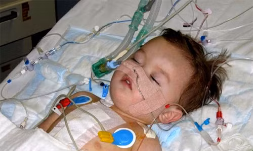 Cậu bé Sammy Hori, 7 tuổi, sống tại Cambridge, nước Anh, sinh ra với nửa trái tim chỉ có một tâm thất, thay vì hai tâm thất như các em bé bình thường khác. Ngay từ khi còn nằm trong bụng mẹ, bé Sammy đã được các bác sỹ chẩn đoán là chỉ sống sót một vài ngày sau khi sinh, bởi tim của cậu chỉ có một tâm thất và không đủ khả năng duy trì sự sống cho em. Trải qua ba ca phẫu thuật phức tạp, đến nay, Sammy có thể sống khỏe mạnh như những người bình thường.