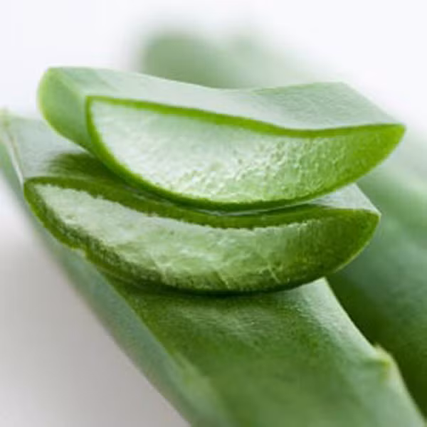 Cách làm lông mày dài và dày với lô hội. Gel lô hội cũng là một thành phần làm đẹp được ưa chuộng. Thoa gel lô hội thường xuyên lên lông mày, bạn sẽ có được hàng mày ngài đậm nét và sáng bóng.