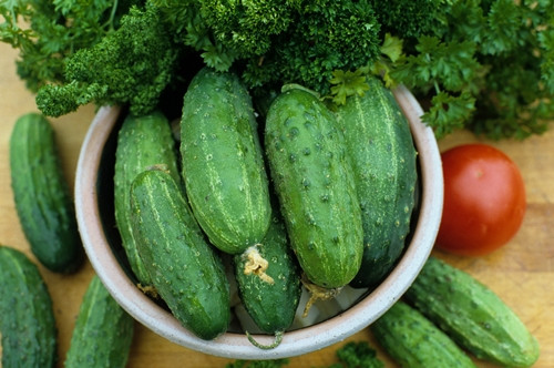 Mặt nạ dưa chuột và ngũ cốc. Loại mặt nạ dưa chuột và ngũ cốc là loại dưỡng kích trắng da rất hiệu quả. Chỉ cần đắp loại mặt nạ này khoảng 1 tháng là bạn sẽ thấy làn da mình căng mịn, trắng sáng. Cách làm khá đơn giản, bạn lấy dưa chuột xay nhuyễn cho thêm một chút bột ngô, bột mì, bột gạo, bột đậu xanh, bột đậu đen vào đảo đều là được loại mặt nạ làm trắng da.