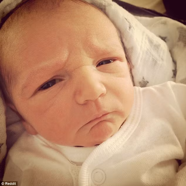 "Nhìn cái gì mà nhìn!"