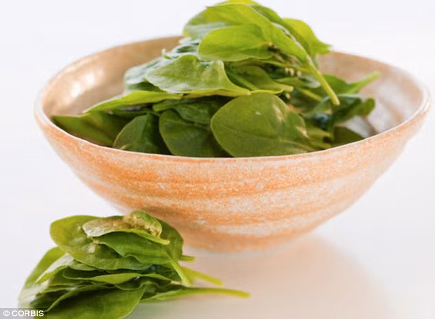 Rau bina. Những lá rau bina là một nguồn sắt dồi dào (nhất là đối với những người ăn kiêng). Các nhà nghiên cứu Thụy Điển cho biết, các hợp chất trong rau bina giúp tăng hiệu suất của mitochondria - giúp sản sinh nhiều năng lượng hơn trong tế bào.