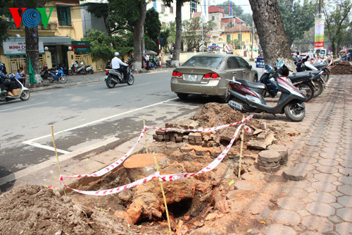 Ha Noi chat ha 6.700 cay xanh: Nguoi dan ban khoan
