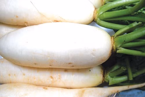 Nước củ cải luộc. Củ cải trắng, cắt chừng 4-5 lát cho vào một nồi nhỏ, châm bát nước, đun sôi, sau đó để lửa liu riu thêm 5-10 phút. Cho bé uống nước này khi còn nóng điều trị ho, khô mũi, đau họng, ho khan, có đờm.