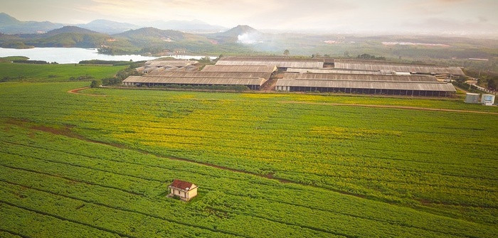 Cánh đồng hoa hướng dương ở Nghĩa Đàn, Nghệ An vẫn tạo nên một sức hút rất lớn với những người yêu du lịch. Một vài năm gần đây, ai cũng háo hức đến ngày hàng chục ha hoa hướng dương cùng bung nở, tạo ra một cảnh tượng hoành tráng giữa tiết trời mùa đông.
