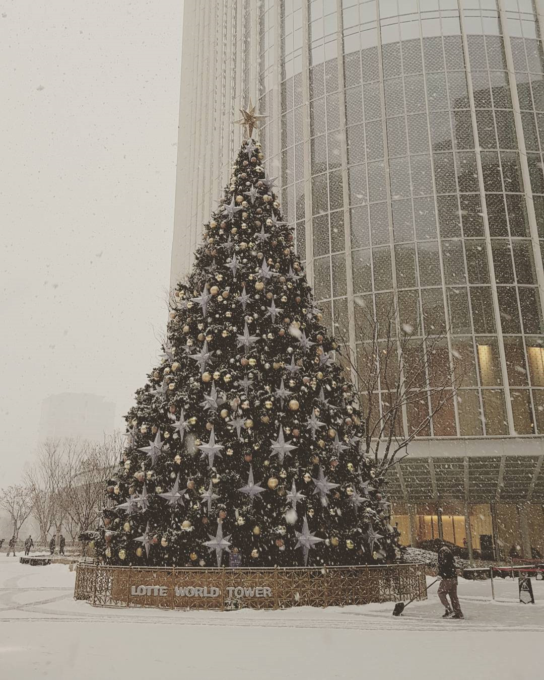 Ngoài ra, ông già Noel ở Hàn Quốc không chỉ mặc trang phục đỏ mà còn diện cả bộ đồ xanh lá cây độc đáo. Ảnh: Irisim_sj, St.mita, Margotmallard.