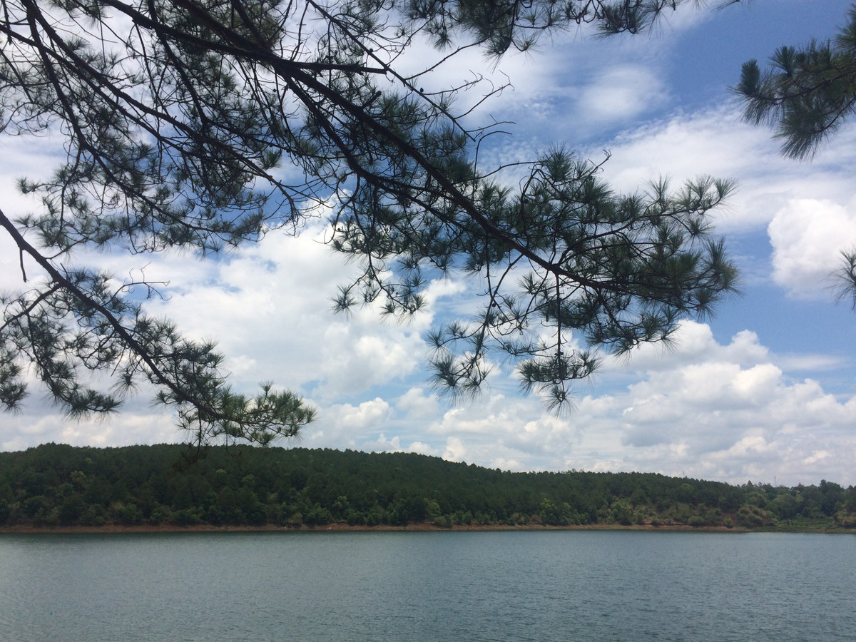 Den Pho Nui Gia Lai ma khong thu mon an nay thi phi ca thanh xuan