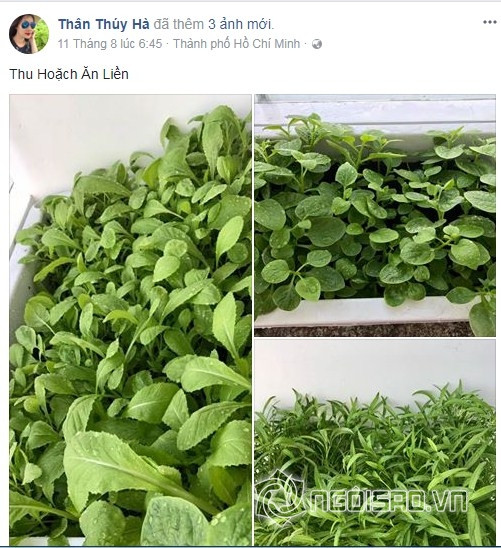 Bên ngoài ban công cô để ghế sofa và ghế gỗ, một chiếc bàn nhỏ ngắm cảnhvà thưởng thức bữa ăn nhẹ hay đồ uống.