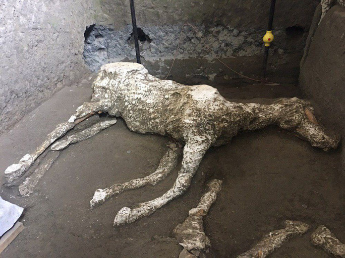 Trong những năm qua, các cuộc khai quật Pompeii đã hé lộ những hình người "hóa đá" với đủ tư thế, đa số trong trạng thái đang hoạt động. Họ đã chết trong tích tắc vì bị tro bụi và sức nóng núi lửa ập vào. Tàn tích của thành phố còn gồm phần còn lại của những tòa nhà lộng lẫy với kiến trúc đỉnh cao, được trang trí bằng các tác phẩm nghệ thuật, những con đường, phố xá với kỹ thuật xây dựng đáng ngạc nhiên.