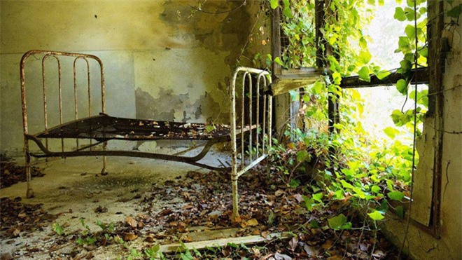 Năm 1347, bệnh dịch hạch lớn đầu tiên xảy ra ở Italy. Xác chết chất đầy các hố chôn tập thể tại nước này. Để giải quyết tình trạng đó, hàng chục nghìn nạn nhân mắc bệnh đã được mang đi cách ly. Đảo Poveglia trở thành một trong những nơi lưu trú của họ. Ảnh: Time Magazine.