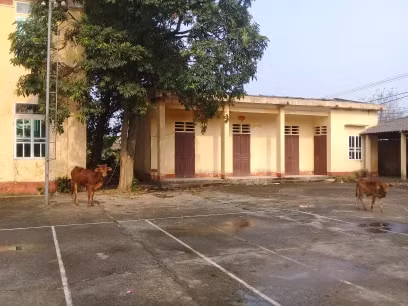 Tru so xa bo hoang sau sap nhap: Chu tich tinh Phu Tho len tieng-Hinh-3