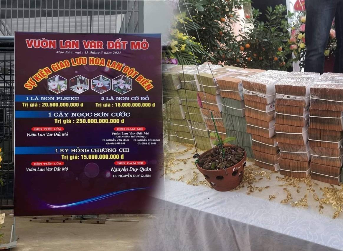 Giao dich lan Var tram ty: Nguoi ban co phai nop thue?