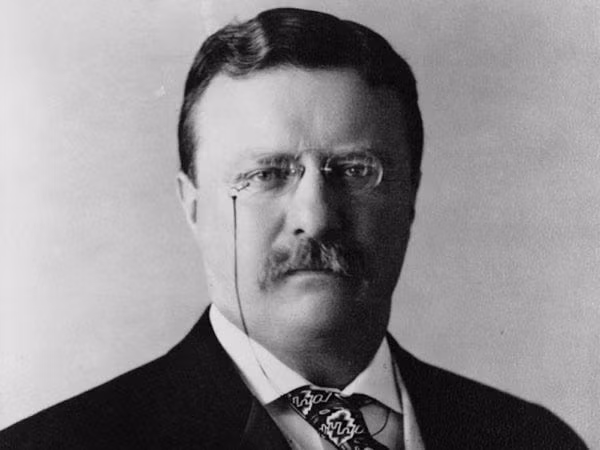 Theodore Roosevelt là Tổng thống thứ 26 của Mỹ nổi tiếng với nhiều thành tựu khi dẫn dắt nước Mỹ. Với những đóng góp trong cương vị chủ nhân Nhà Trắng, gương mặt Tổng thống Roosevelt được tạc trên núi Rushmore cùng với các Tổng thống: George Washington, Thomas Jefferson và Abraham Lincoln.